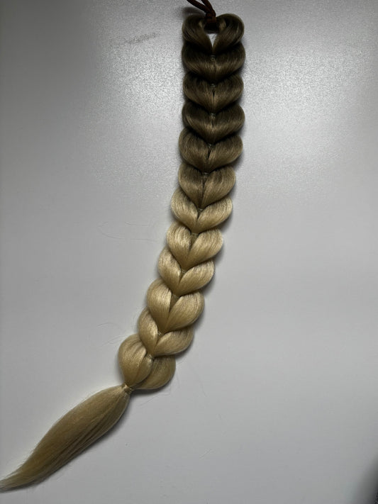 Rapunzel dragon braid